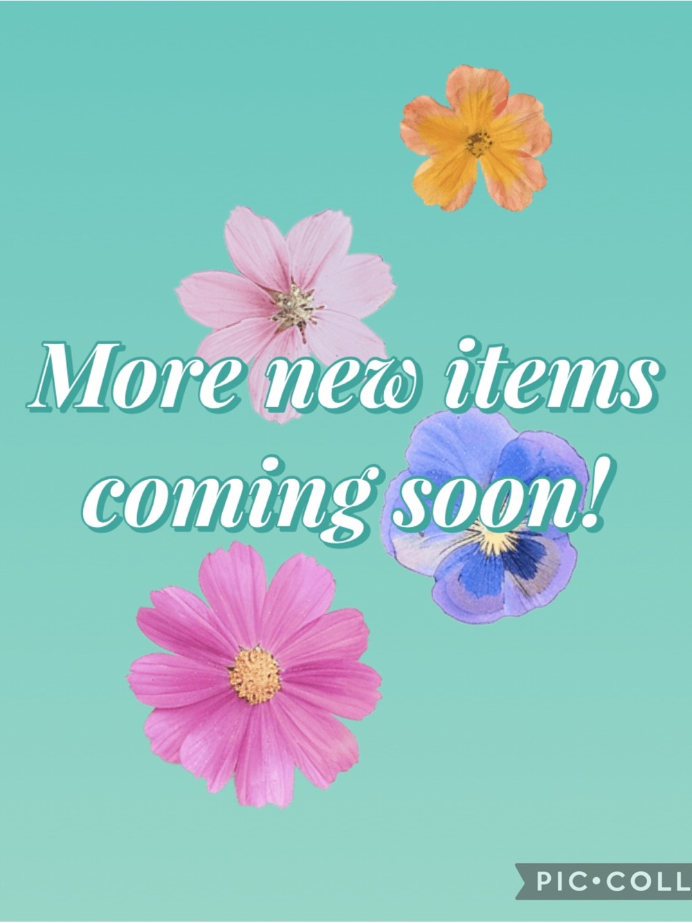 MORE NEW ITEMS COMING SOON